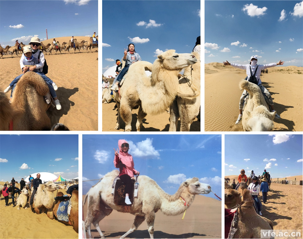 騎著駱駝走沙漠，不要太穿越