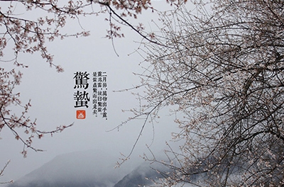 春雷起，驚蟄出